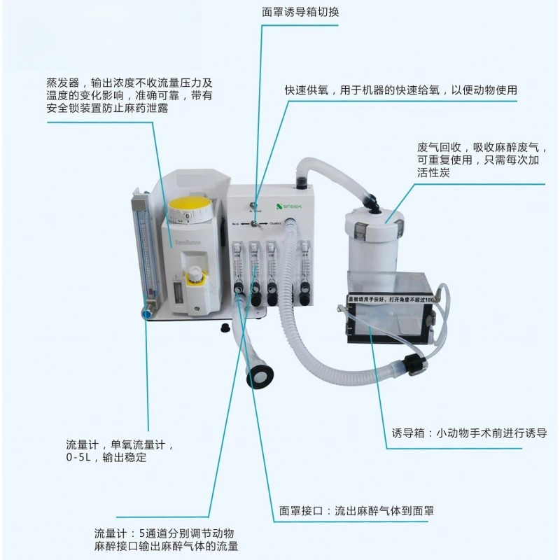 Medical Professional Laborator - Medical Lab Professional 리뷰 및 가격