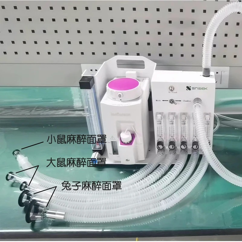 Medical Professional Laborator - Medical Lab Professional 리뷰 및 가격