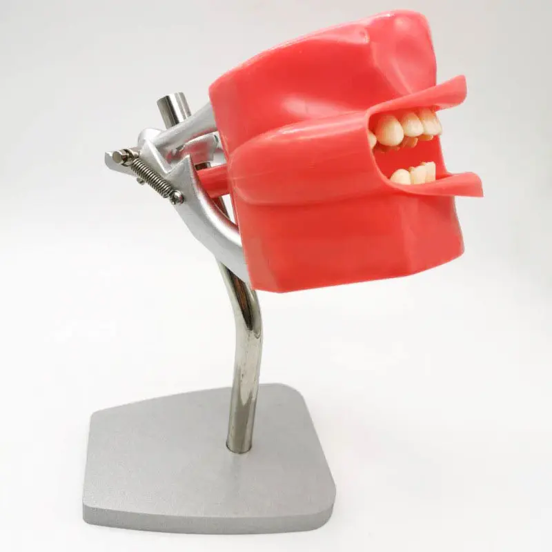 Professional Simple Type Remov - Medical Lab Professional 리뷰 및 가격