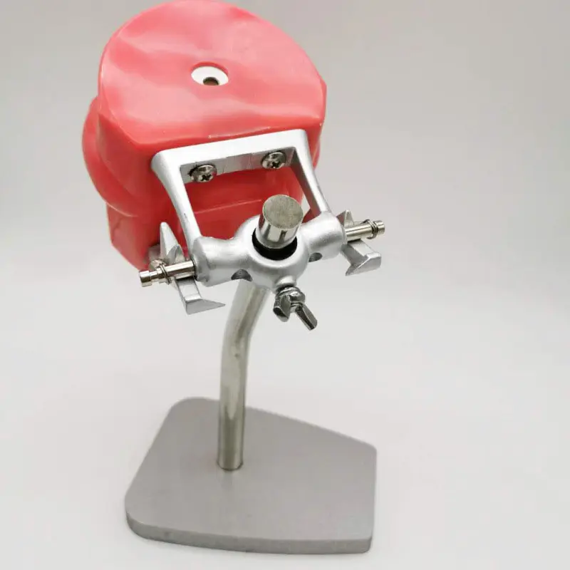 Professional Simple Type Remov - Medical Lab Professional 리뷰 및 가격