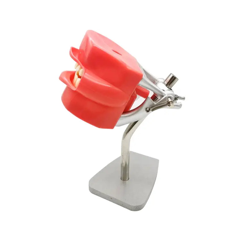 Professional Simple Type Remov - Medical Lab Professional 리뷰 및 가격