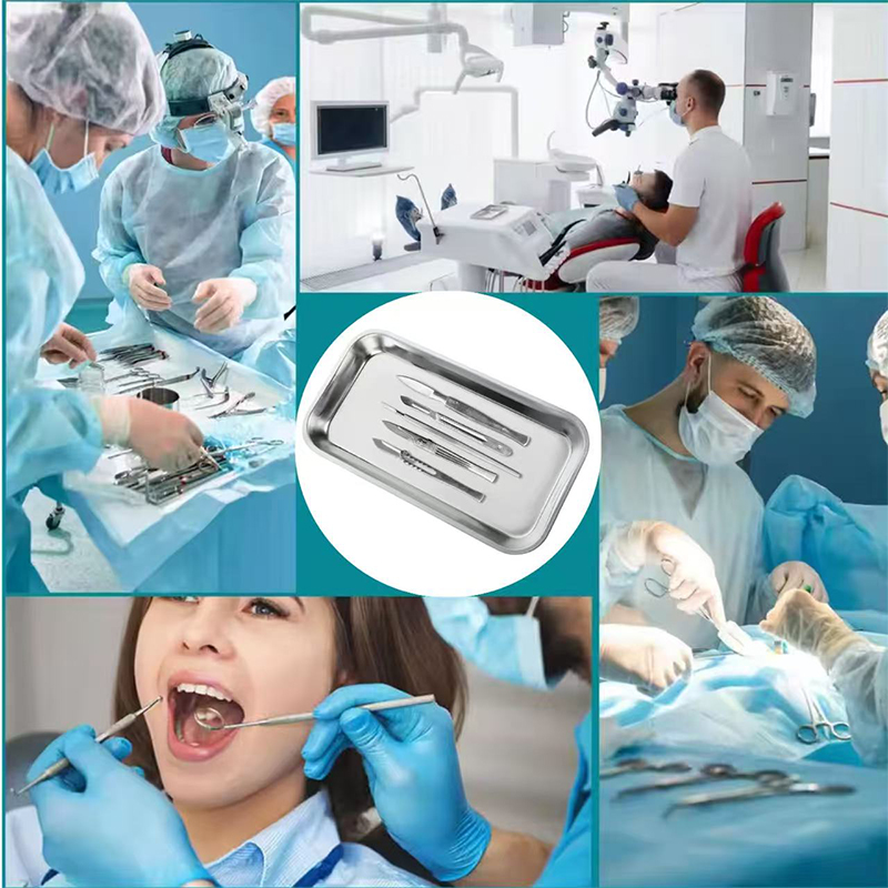 Stainless Steel Dental Medical - Medical Lab Scientist 리뷰 및 가격