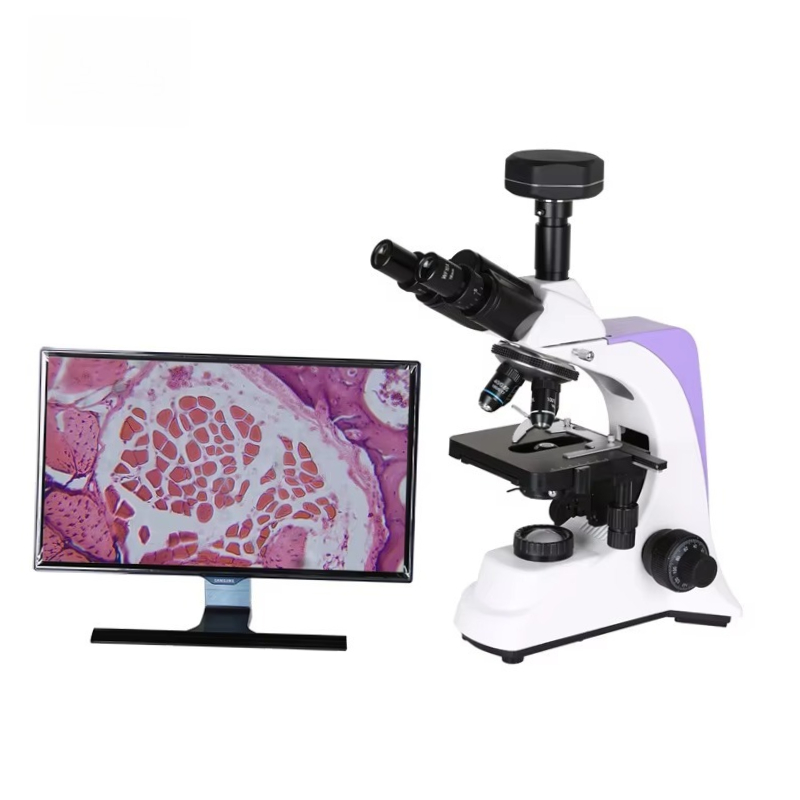 2026 Medical Lab Digital Biolo - Medical Lab Scientist 리뷰 및 가격