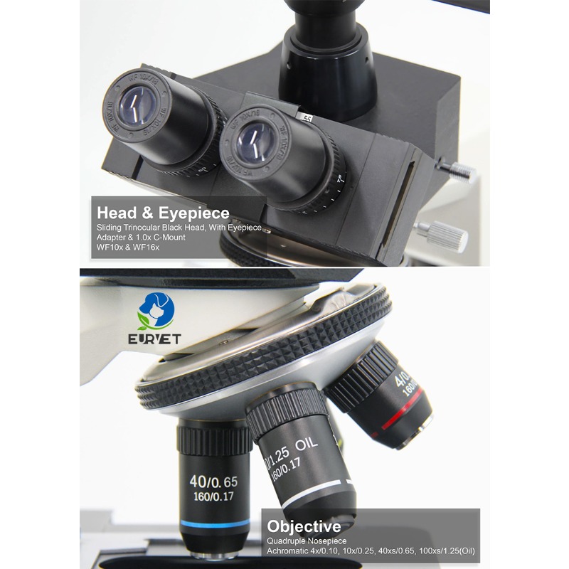 2026 Medical Lab Digital Biolo - Medical Lab Scientist 리뷰 및 가격