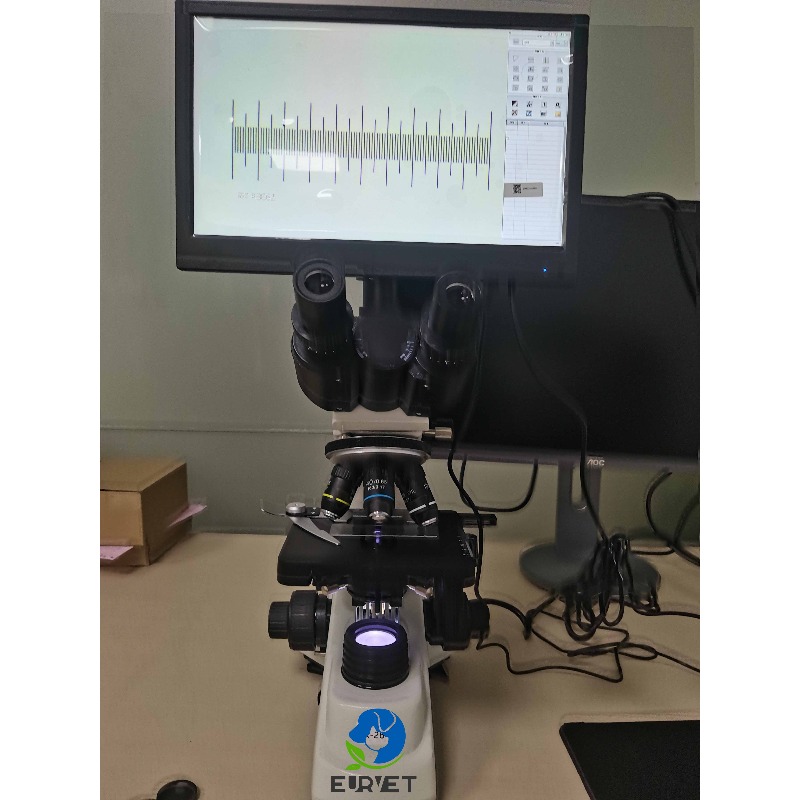 2026 Medical Lab Digital Biolo - Medical Lab Scientist 리뷰 및 가격